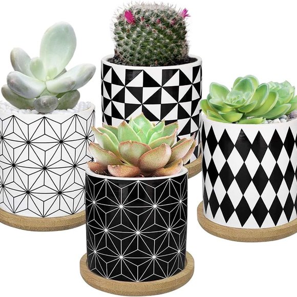 3 Inch Geometric Succulent Planter Pots with Drainage and Bamboo Tray - Picture 2 of 14